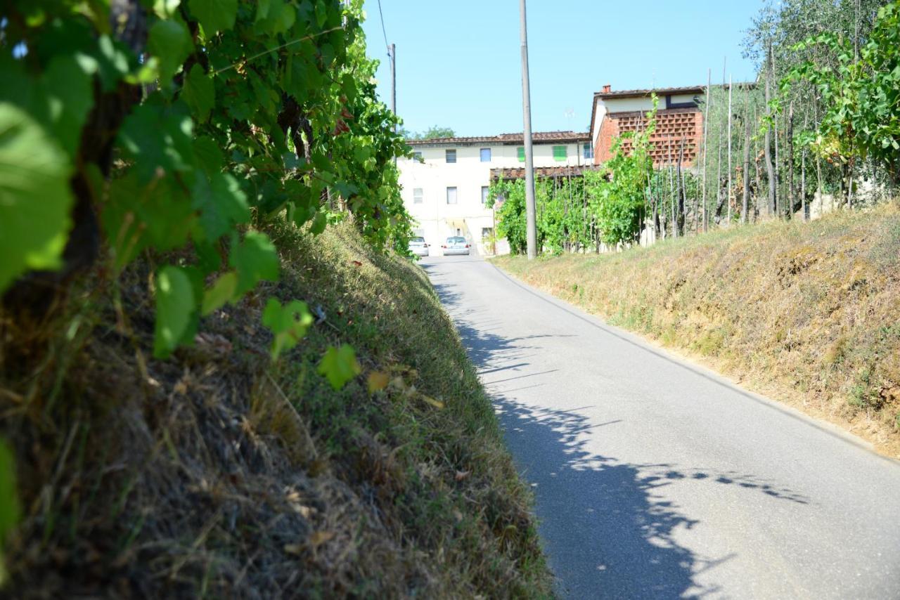 Agriturismo Corte Stefani Capannori Eksteriør billede
