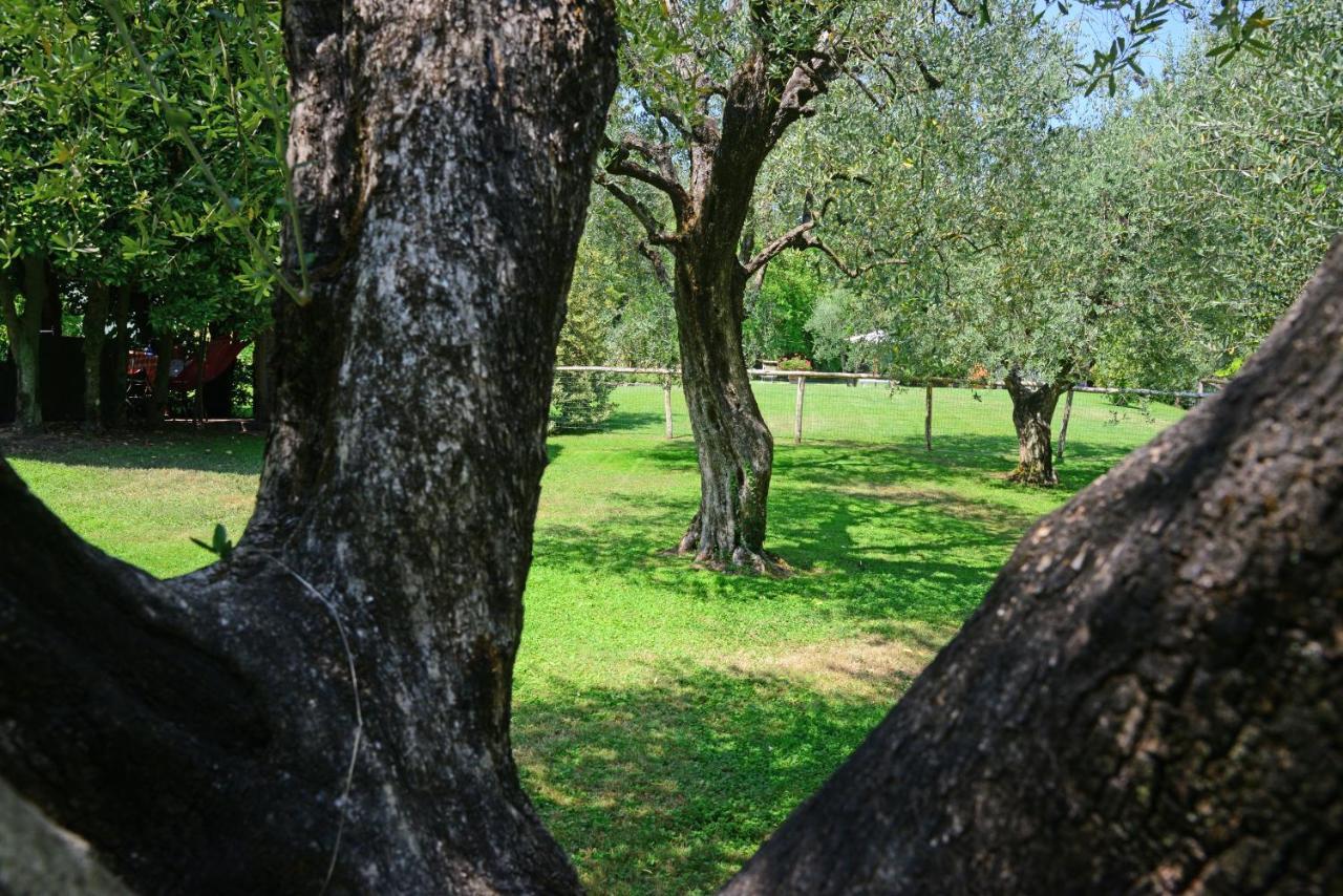Agriturismo Corte Stefani Capannori Eksteriør billede