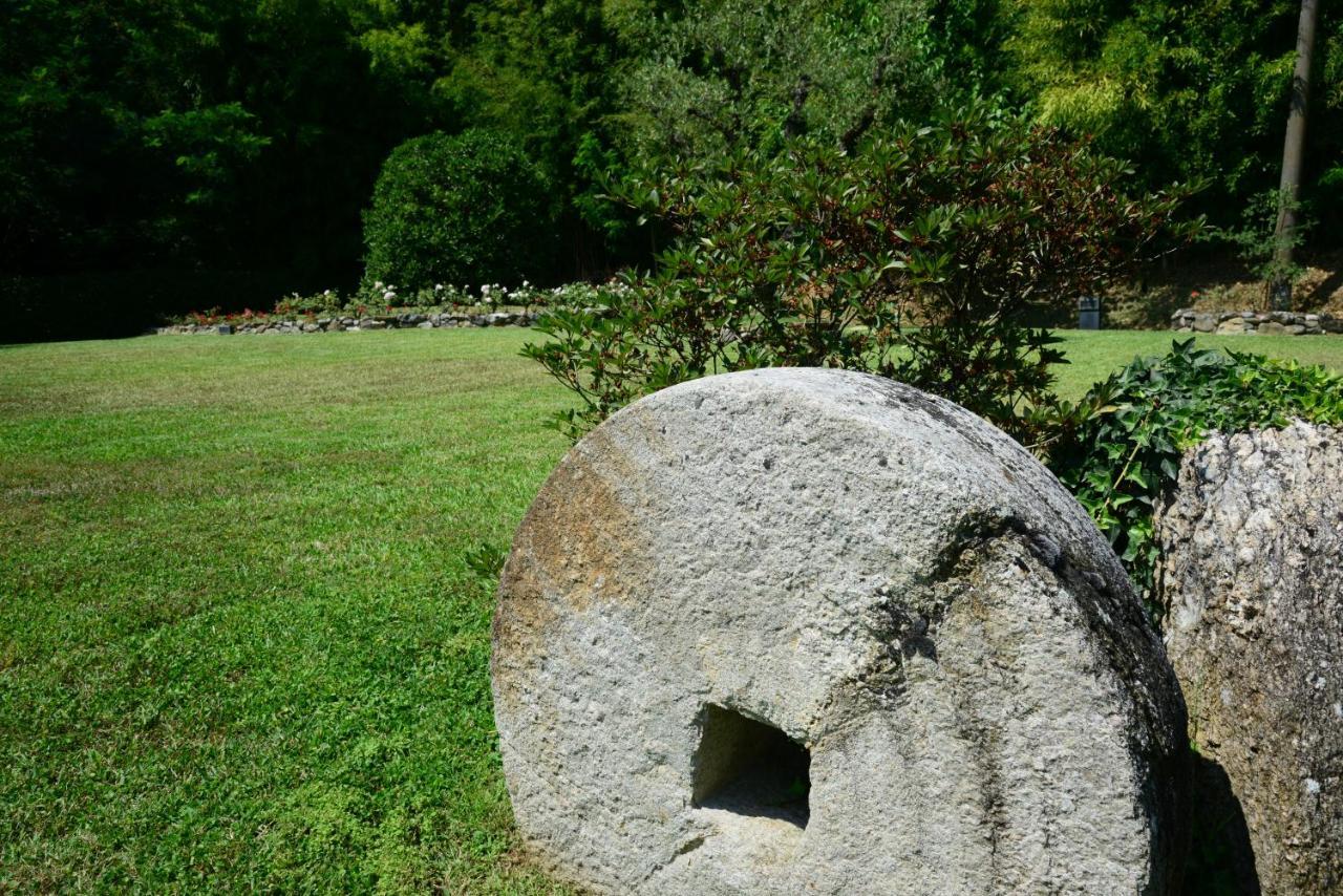 Agriturismo Corte Stefani Capannori Eksteriør billede